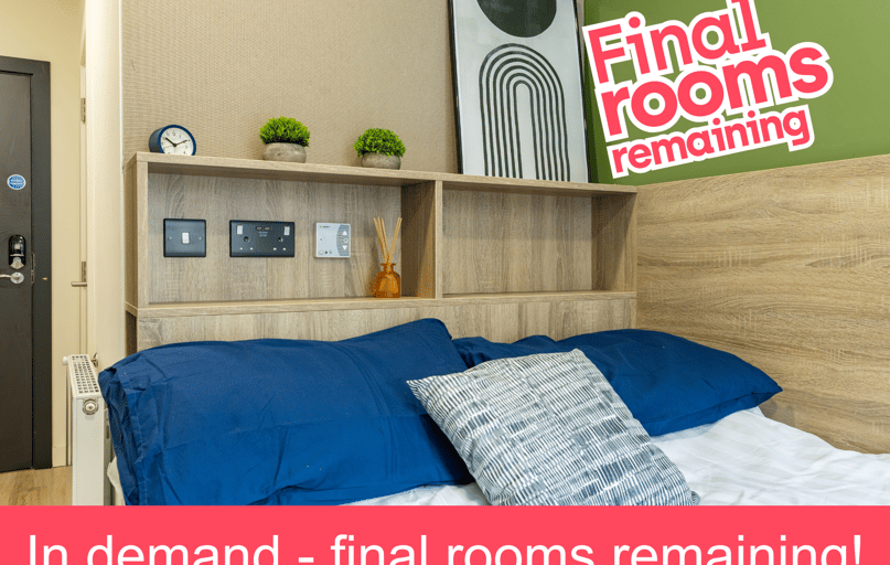 Standard Plus En Suite, Ardee Point, Newmarket, Near University, Dublin - Image 1